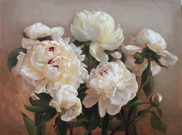 Katie g.Whipple пионы