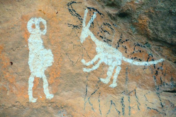 Петроглиф волк