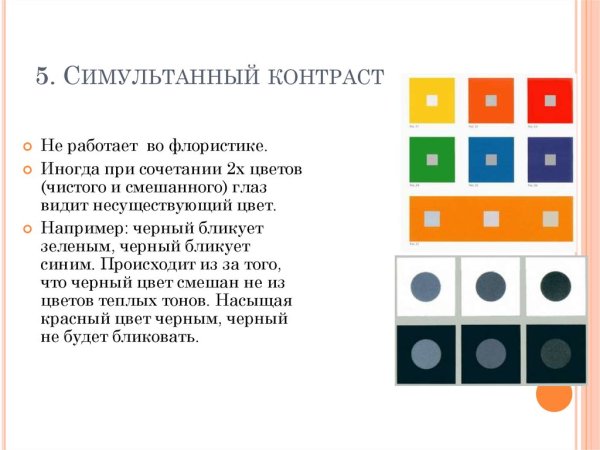 Робер Делоне кубизм