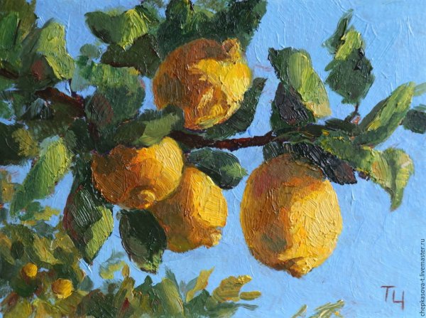 Клод Моне ветка Лимонов