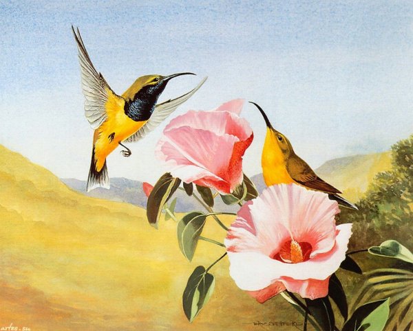 Художник Эрик Шеферд