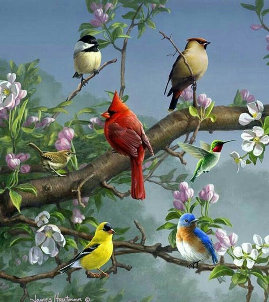 Джеймс Хаутман (James Hautman