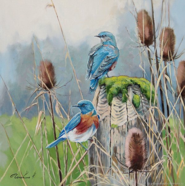 Наташа Головина художник птицы