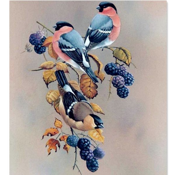 Художник Ruud Weenink