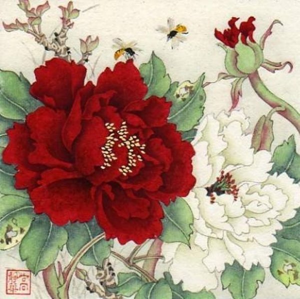 Китайский пион