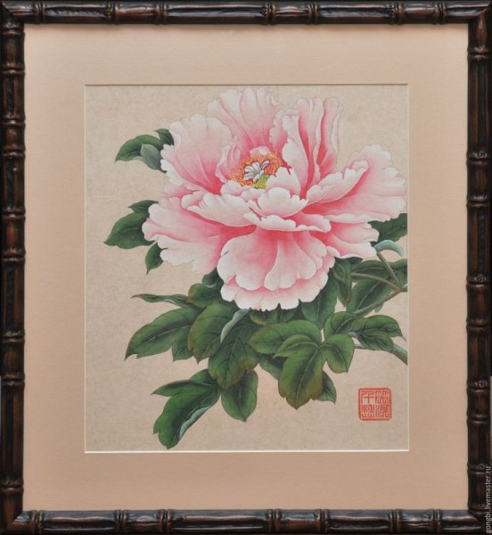 Гунби красный пион