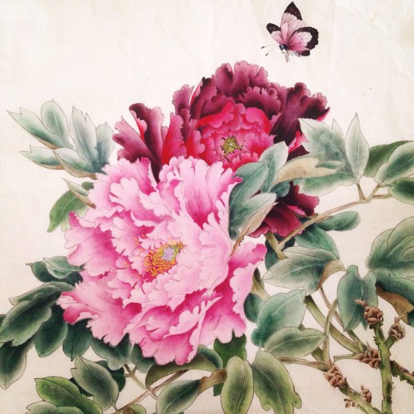 Пион красный гохуа