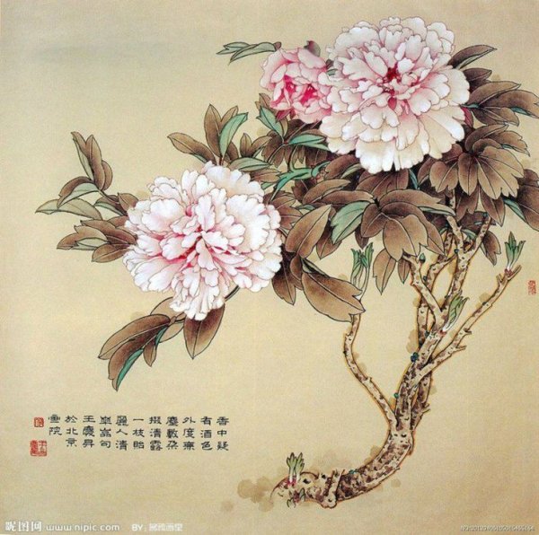Древовидный пион китайская живопись