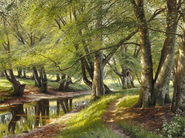 Петер мёрк мёнстед 1859 -1941.