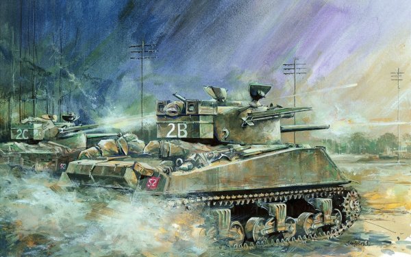 Шерман тюльпан