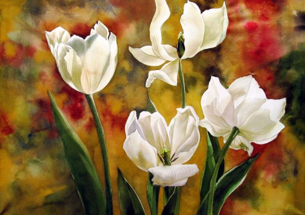 Цветочные акварели.Alfred ng