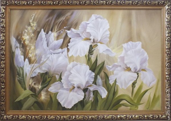 Белые ирисы Левашов