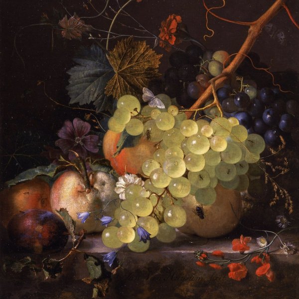 Голландский натюрморт Ян Ван хёйсум