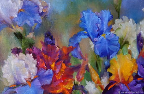 Элизабет Хорнинг ирисы