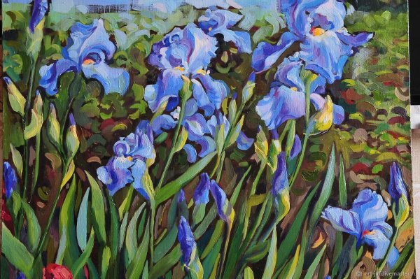 Erin Hanson ирисы