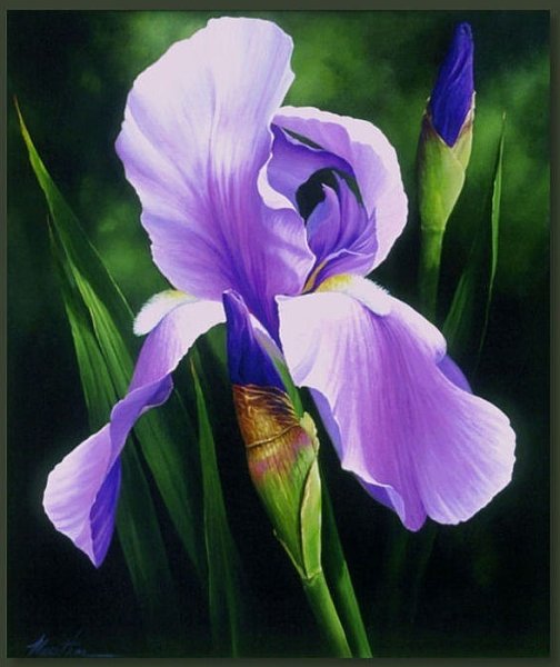 Картины ирисы Gary and Kathwren Jenkins