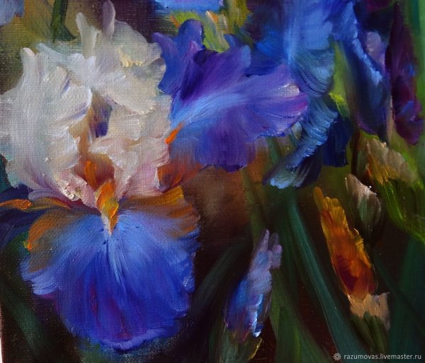 Давид Манакьян ирисы