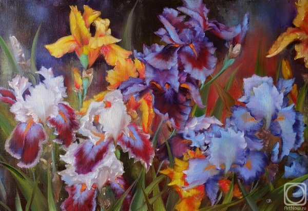 Ирисы живопись маслом