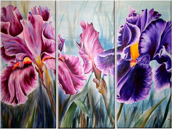 Картина Декарт ирисы