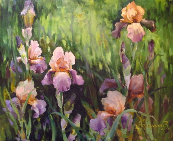 Сергей Тутунов ирисы