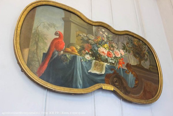 Бельский десюдепорт с попугаем