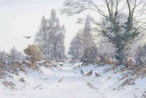 Живопись Колин Бернс