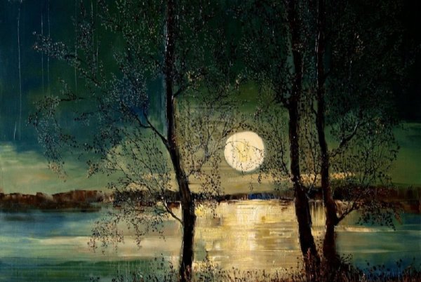 Юстина Копаня ночь ..Луна