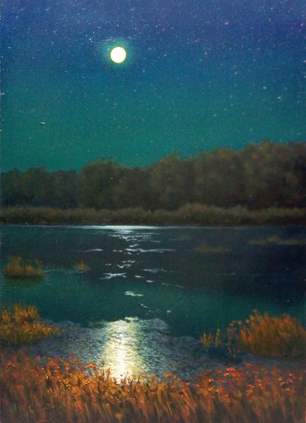 Звезды над озером