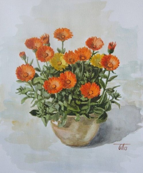 Картины ноготки