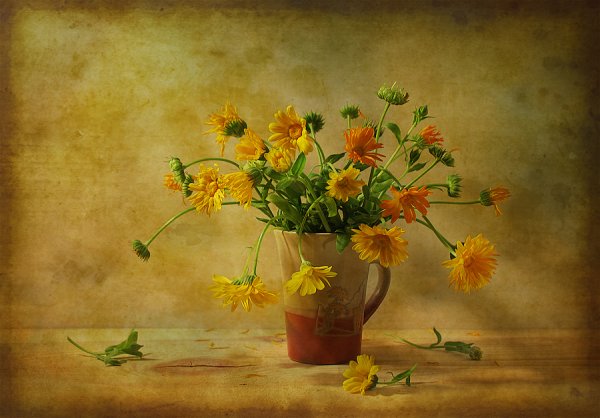 Фотонатюрморты с календулой