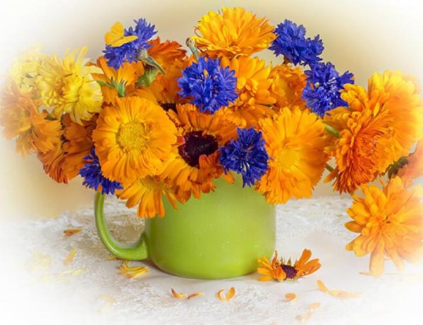 Букет из календулы