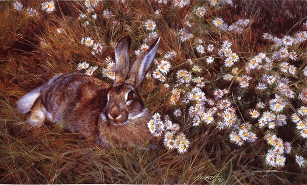 Edward художник анималист