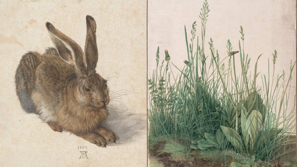 Карл Фридрих Дейкер