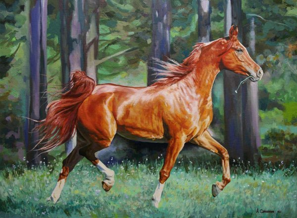 Художник Самохвалов Александр лошади