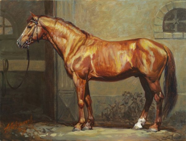 Лошадь породы Аргамак живопись
