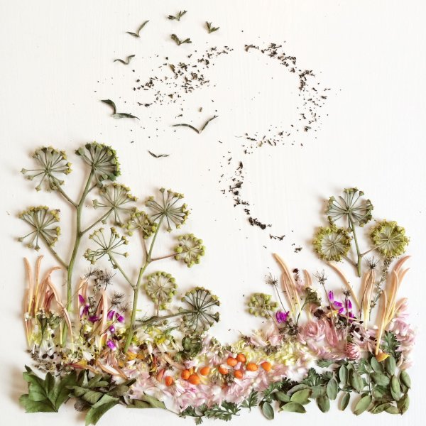 Ошибана из одуванчиков