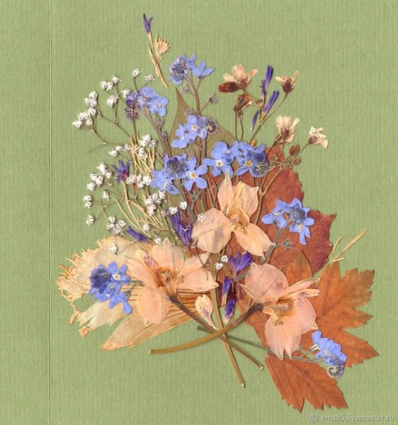 Открытка из засушенных листьев и цветов