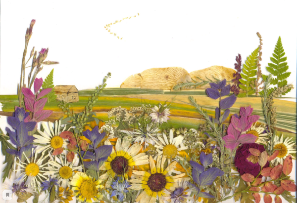 Флористические картины