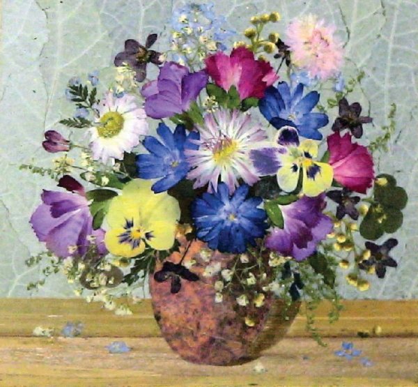 Флористика ошибана