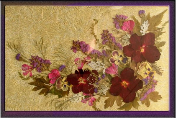 Китайская осибана