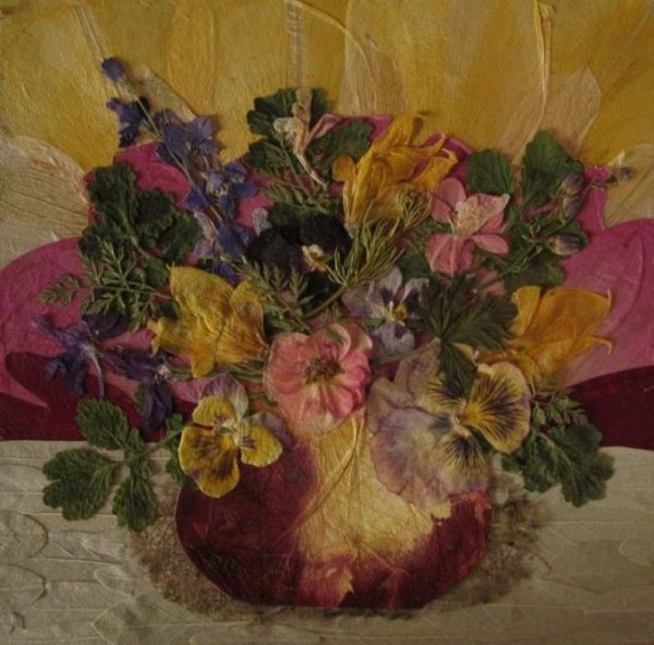 Китайская осибана