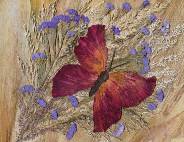 Ошибана из сухих цветов и листьев картины