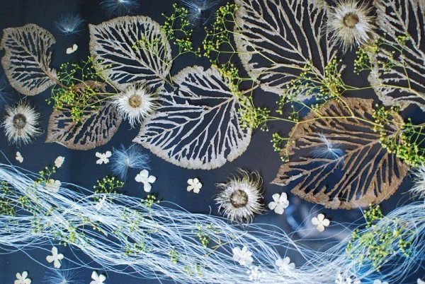 Японская техника ошибана картины из растений и цветов