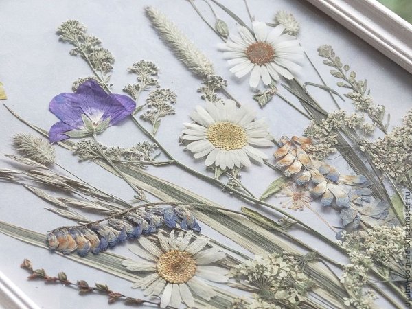 Панно из засушенных цветов