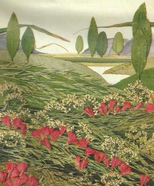 Японская ошибана