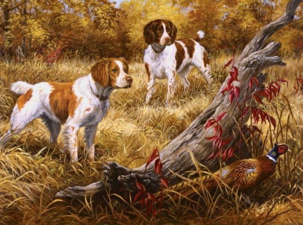 "Борзая и спаниель" Джон Фредерик Херринг.