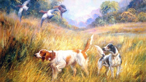 Джим Киллен художник