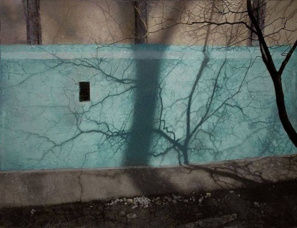 Петр Козлов художник