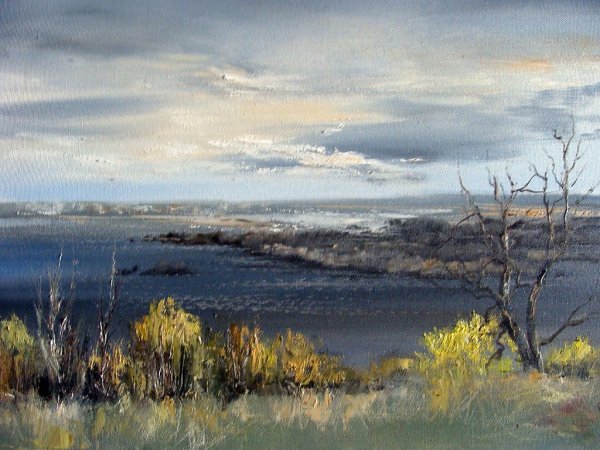 Леднёв художник Александр Алексеевич река Уса