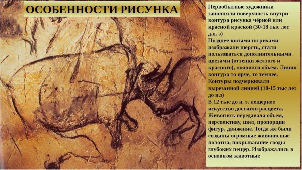 Пещера Шове Наскальная живопись